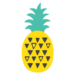 PINEAPPLE Store