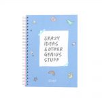 NOTEBOOK - CRAZY IDEAS & OTHER GENIUS STUFF